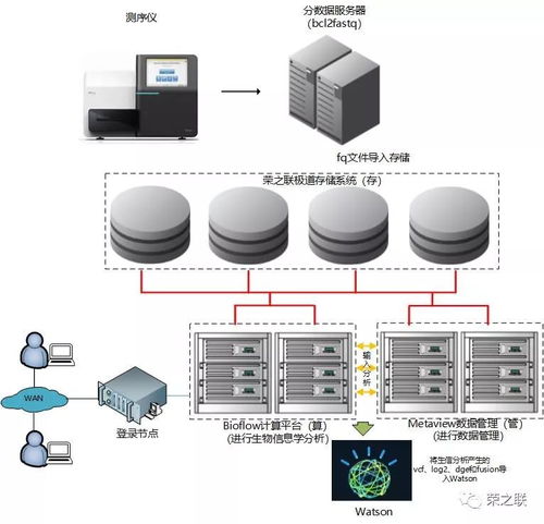 基因檢測分析服務上線 榮之聯為菩提慧生醫學檢驗所注入數據處理與存儲新動力